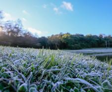 Primeira onda de frio chega ao Paraná semana que vem com termômetros perto de 0ºC