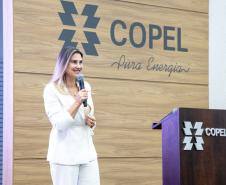 Copel e IAT fazem alinhamento técnico para analisar processos de licenciamento ambiental