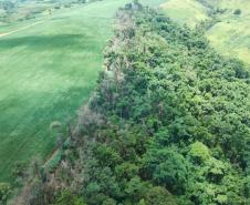 IAT identificou 478 hectares de área de vegetação danificada por fogo em quatro fazendas de Ribeirão Claro, no Norte Pioneiro