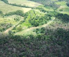 IAT identificou 478 hectares de área de vegetação danificada por fogo em quatro fazendas de Ribeirão Claro, no Norte Pioneiro