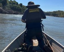 Pesca predatória