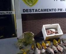  IAT interrompe pesca predatória em Engenheiro Beltrão