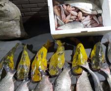  IAT interrompe pesca predatória em Engenheiro Beltrão