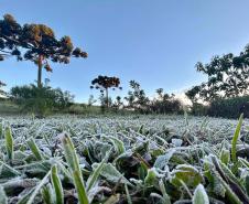 Primeira onda de frio chega ao Paraná semana que vem com termômetros perto de 0ºC