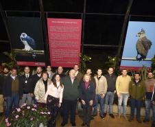 Paraná celebra meio ambiente com exposição sobre animais ameaçados; visitação é gratuita