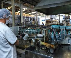 Indústria da água mineral cresce 41% em 2024 e movimenta R$ 341,2 milhões no Paraná