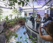 IAT emite licença ambiental que permite funcionamento do aquário de Foz do IguaçuEm fase final de construção, o AquaFoz tem previsão de entrar em funcionamento no segundo semestre deste ano Foto: Daniel Castellano/SEDEST-PR