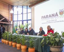 Encontro promovido pelo Estado enfatiza benefícios da arborização urbana planejada