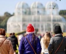Com previsão de geada, temperaturas começam a cair nesta segunda-feira no Paraná