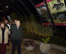 Paraná celebra meio ambiente com exposição sobre animais ameaçados; visitação é gratuita