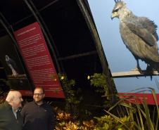 Paraná celebra meio ambiente com exposição sobre animais ameaçados; visitação é gratuita