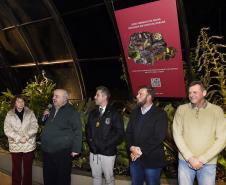 Paraná celebra meio ambiente com exposição sobre animais ameaçados; visitação é gratuita