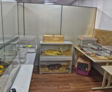 Instituto Água e Terra iniciou o processo de avaliação clínica de animais vítimas do tráfico internacional resgatados pela Polícia Civil 