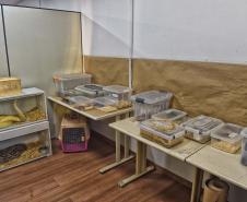 Instituto Água e Terra iniciou o processo de avaliação clínica de animais vítimas do tráfico internacional resgatados pela Polícia Civil 