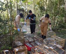 Instituto Água e Terra iniciou o processo de avaliação clínica de animais vítimas do tráfico internacional resgatados pela Polícia Civil 