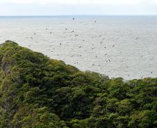 Semana do Meio Ambiente: 5 motivos que fazem do Paraná o estado mais sustentável do País