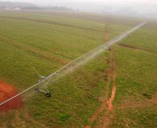 Construção de poços artesianos e implantação de projetos de irrigação são algumas das ações estabelecidas pelo Governo do Paraná para combater a estiagem.