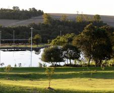 I Encontro Estadual de Arborização Urbana busca ampliar o plantio planejados de árvores nas cidades do Paraná