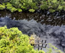 Semana do Meio Ambiente: 5 motivos que fazem do Paraná o estado mais sustentável do País