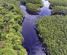 Semana do Meio Ambiente: 5 motivos que fazem do Paraná o estado mais sustentável do País