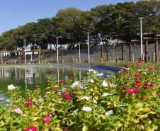 I Encontro Estadual de Arborização Urbana busca ampliar o plantio planejados de árvores nas cidades do Paraná