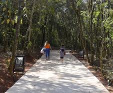 I Encontro Estadual de Arborização Urbana busca ampliar o plantio planejados de árvores nas cidades do Paraná