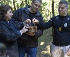 Pássaros resgatados do tráfico de animais começaram a voltar para a natureza nesta quarta-feira (25)