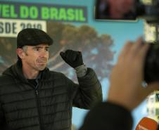Jardim do Palácio Iguaçu recebe clone de araucária de 700 anos
