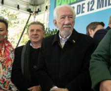 Jardim do Palácio Iguaçu recebe clone de araucária de 700 anos