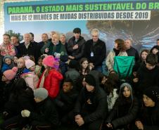 Jardim do Palácio Iguaçu recebe clone de araucária de 700 anos