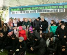 Jardim do Palácio Iguaçu recebe clone de araucária de 700 anos