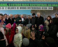 Jardim do Palácio Iguaçu recebe clone de araucária de 700 anos