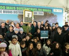 Jardim do Palácio Iguaçu recebe clone de araucária de 700 anos