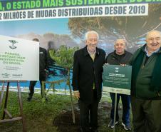 Jardim do Palácio Iguaçu recebe clone de araucária de 700 anos