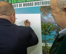 Jardim do Palácio Iguaçu recebe clone de araucária de 700 anos