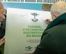 Jardim do Palácio Iguaçu recebe clone de araucária de 700 anos
