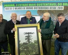 Jardim do Palácio Iguaçu recebe clone de araucária de 700 anos