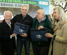 Jardim do Palácio Iguaçu recebe clone de araucária de 700 anos