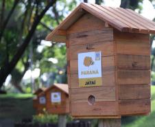 Sede do Ministério Público estadual ganha jardins de mel do Poliniza Paraná