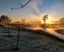 Inverno começa nesta sexta-feira e terá temperaturas mais baixas que em 2024 