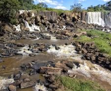 Semana do Meio Ambiente: 5 motivos que fazem do Paraná o estado mais sustentável do País