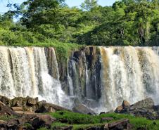 Semana do Meio Ambiente: 5 motivos que fazem do Paraná o estado mais sustentável do País