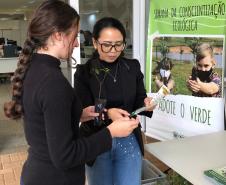 IAT distribui 30,1 mil mudas de espécies nativas durante a Semana do Meio Ambiente
