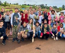 IAT distribui 30,1 mil mudas de espécies nativas durante a Semana do Meio Ambiente