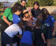 IAT distribui 30,1 mil mudas de espécies nativas durante a Semana do Meio Ambiente