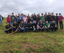 IAT distribui 30,1 mil mudas de espécies nativas durante a Semana do Meio Ambiente