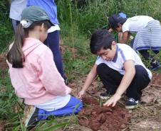 IAT distribui 30,1 mil mudas de espécies nativas durante a Semana do Meio Ambiente