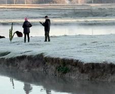 Com -7,8°C, quarta-feira teve menor temperatura do ano no Paraná e geada na Capital