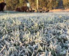 Com -7,8°C, quarta-feira teve menor temperatura do ano no Paraná e geada na Capital