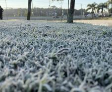 Com -7,8°C, quarta-feira teve menor temperatura do ano no Paraná e geada na Capital